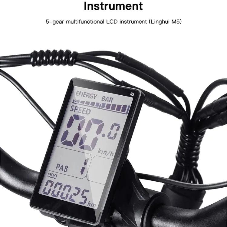 Bezior XF001 1000W 48V 12.5AH Retro Electric Bicycle with LCD Digital Affichage et pneus de 20 pouces,(noir) - lesbeauxprix