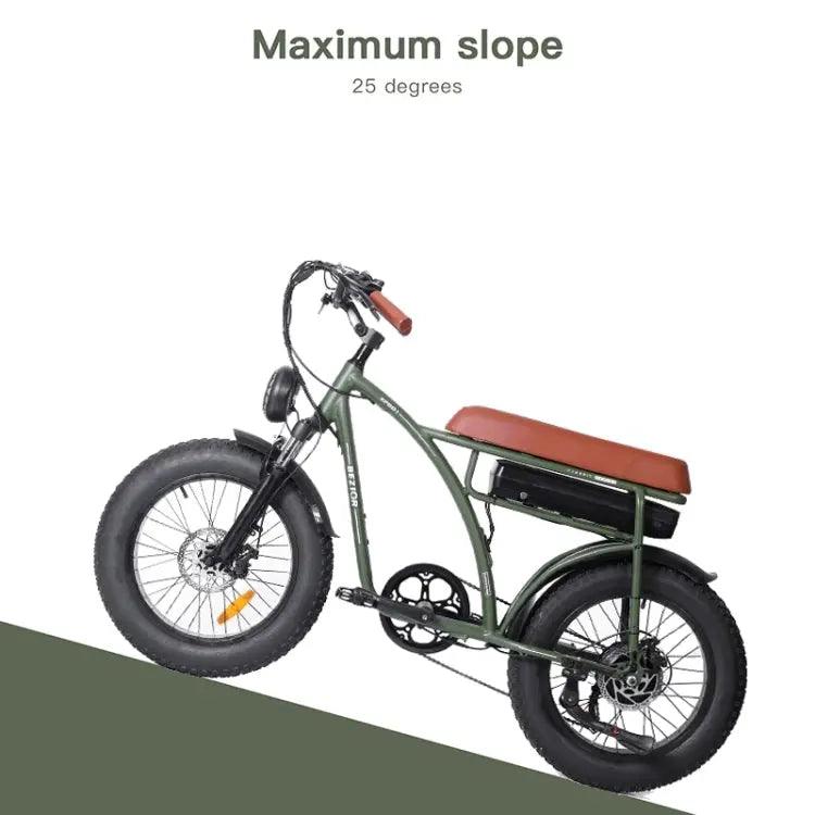 Bezior XF001 1000W 48V 12.5AH Retro Electric Bicycle with LCD Digital Affichage et pneus de 20 pouces,(noir) - lesbeauxprix