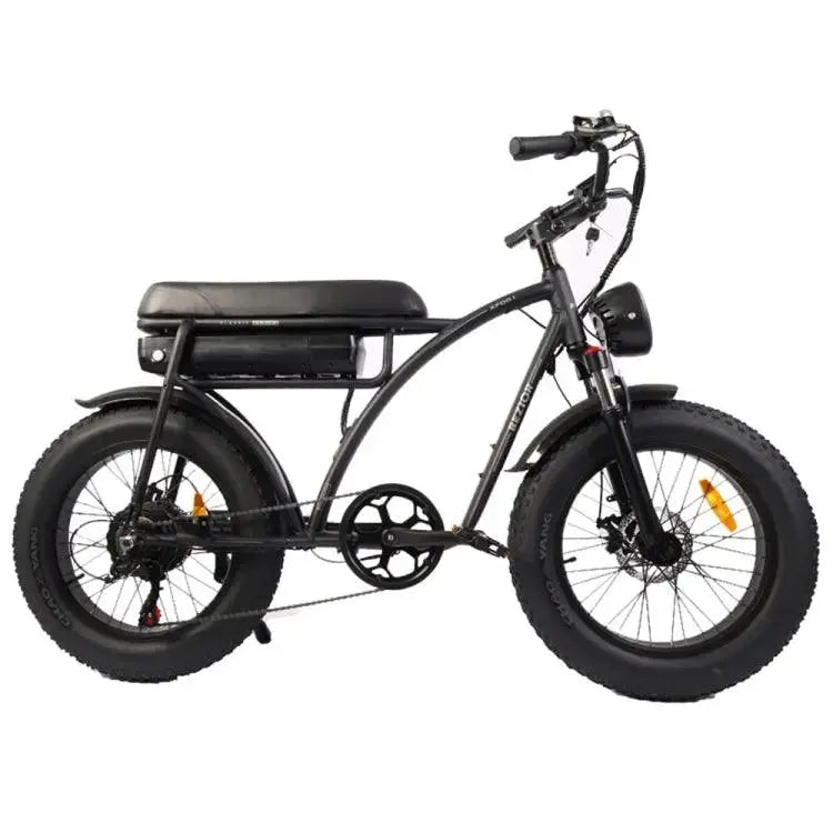 Bezior XF001 1000W 48V 12.5AH Retro Electric Bicycle with LCD Digital Affichage et pneus de 20 pouces,(noir) - lesbeauxprix