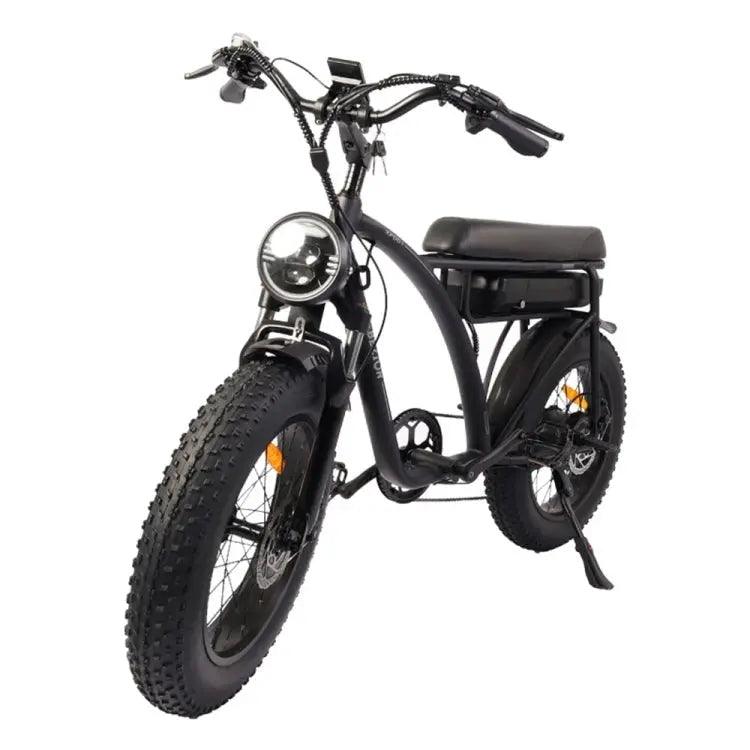 Bezior XF001 1000W 48V 12.5AH Retro Electric Bicycle with LCD Digital Affichage et pneus de 20 pouces,(noir) - lesbeauxprix