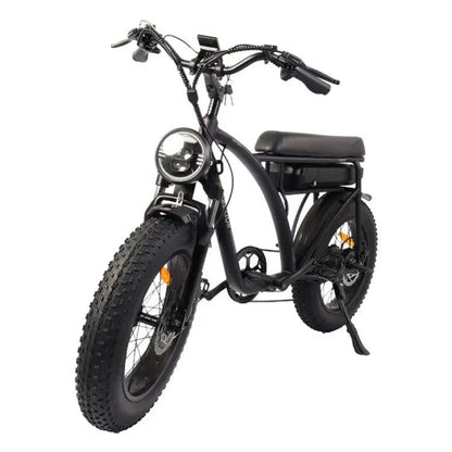 Bezior XF001 1000W 48V 12.5AH Retro Electric Bicycle with LCD Digital Affichage et pneus de 20 pouces,(noir) - lesbeauxprix