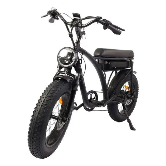 Bezior XF001 1000W 48V 12.5AH Retro Electric Bicycle with LCD Digital Affichage et pneus de 20 pouces,(noir) - lesbeauxprix