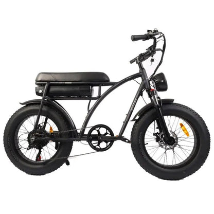 Bezior XF001 1000W 48V 12.5AH Retro Electric Bicycle with LCD Digital Affichage et pneus de 20 pouces,(noir) - lesbeauxprix