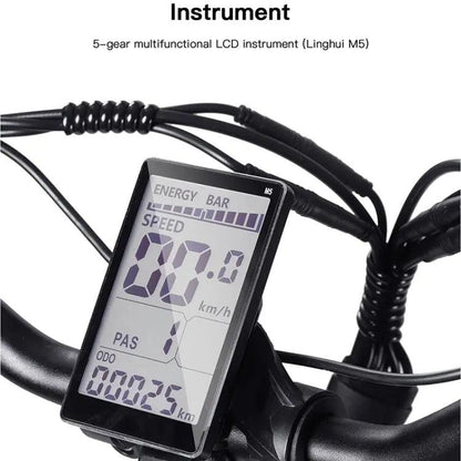 Bezior XF001 1000W 48V 12.5AH Retro Electric Bicycle with LCD Digital Affichage et pneus de 20 pouces,(noir) - lesbeauxprix